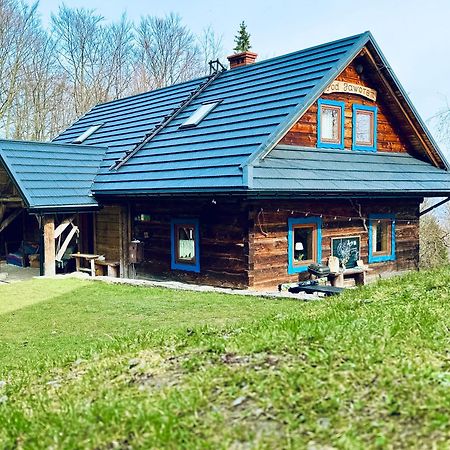 Chata Pod Jaworem Wisła Buitenkant foto